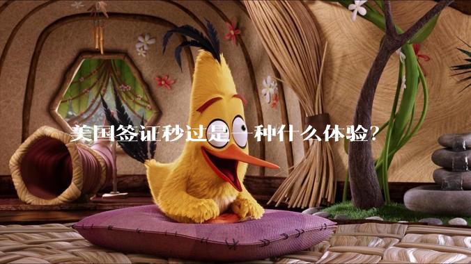 美国签证秒过是一种什么体验？