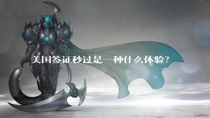 美国签证秒过是一种什么体验？