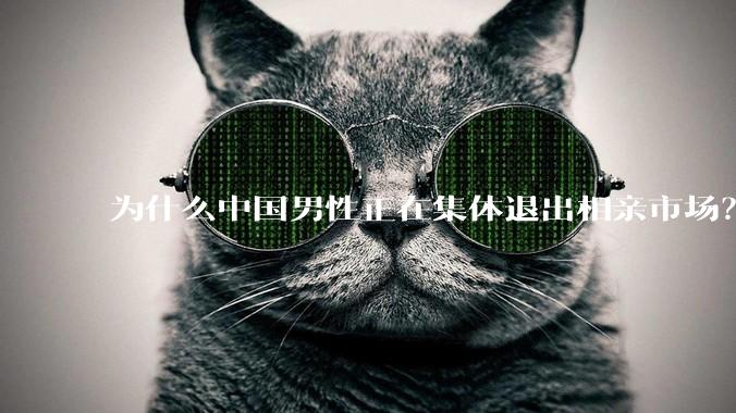 为什么中国男性正在集体退出相亲市场？