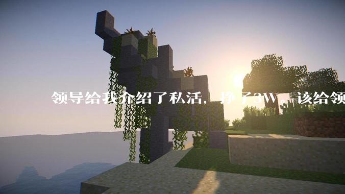 领导给我介绍了私活，挣了3W。该给领导分多少合适呢？